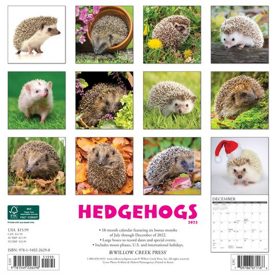 2023 Hedgehogs Wall Calendar Wall Calendars Michaels 2023-hedgehogs-wall-calendar-wall-calendars-michaels
